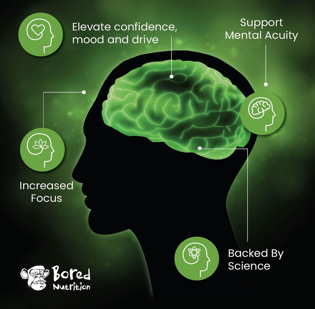 Cognitive Support Formula - M2K